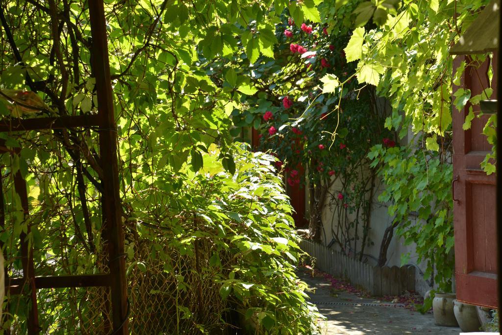 La Maison De Marthe Malleval Cameră foto